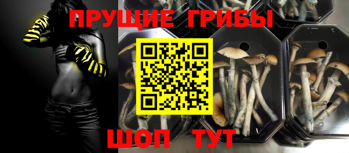 Псилоцибиновые грибы MAGIC MUSHROOMS Верхний Уфалей