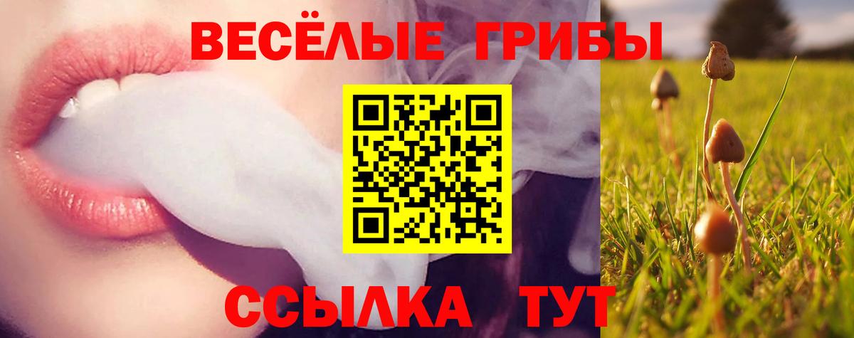 Верхний Уфалей  Галлюциногенные грибы Cubensis  Вход с VPN  Галлюциногенные грибы Psilocybine cubensis 